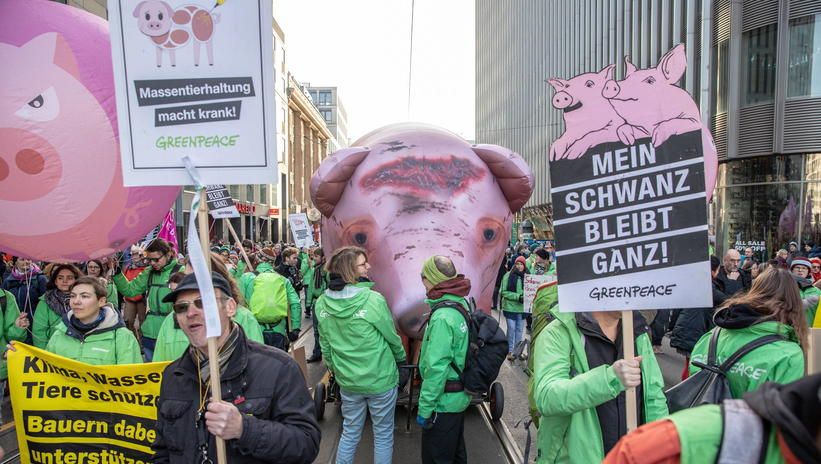 Niemcy: Greenpeace protestuje przeciwko taniemu mięsu w sklepach
